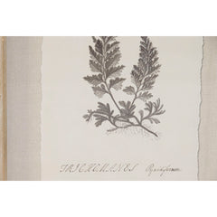 V2HD50A711DD2AF01BEE72040435CFD4CE6R7430172P3