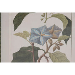 V4H6A1B301614B01879EA22F7B9EC585084R7429467P3