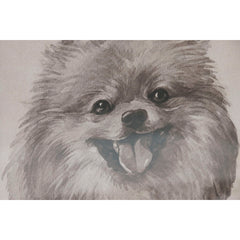 V2H2CD808FB3C5478CCFBC351EF32492DAER7429683P3