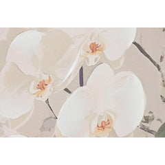 V4H70F0158AACC5A771D801F8337163CCE5R7154608P4