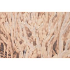 V2H85EACBB2AEE726E17D74AFB13B87D746R7424445P5