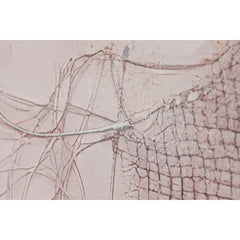 V4HFC4FEA405890849CDAD0F218012FC1B5R7429443P4