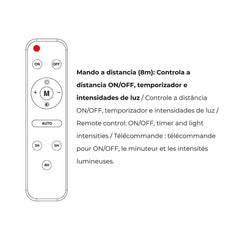 V6H5E964F3619C8AA398EF812BB80B68871R5159042P8