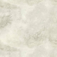 V5H5A1D23A911687A0F9B10C0B5F904F503R4517908P5