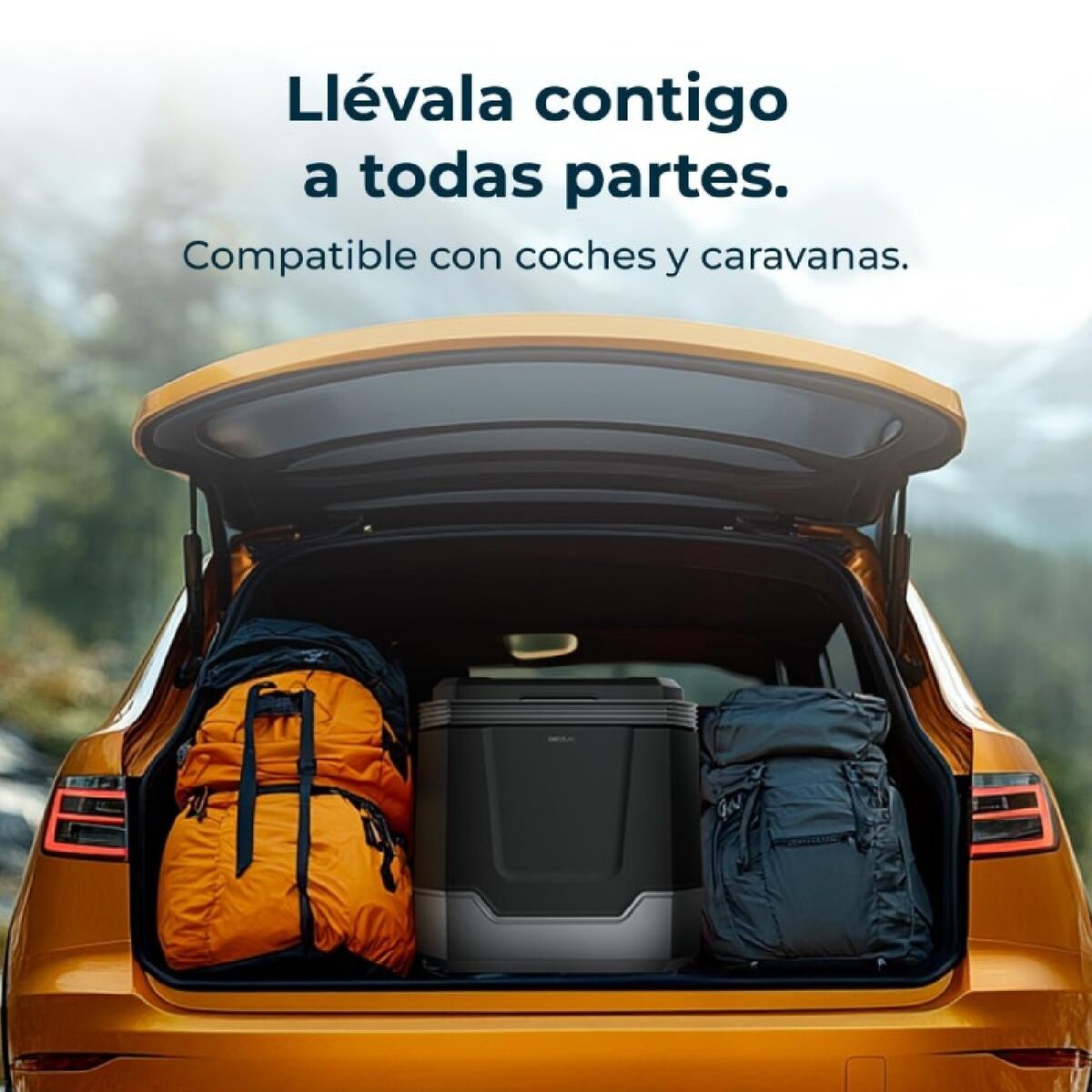 V4H098922C8A2EF80F45825D4989DE8E16AR5179661P5