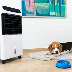 V11HEAA9BF26B50A8FF181A6798DA961959ER4153784P2