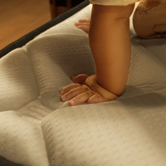 V2H214DCA01071E0D95ED296380604FF56ER7554881P6