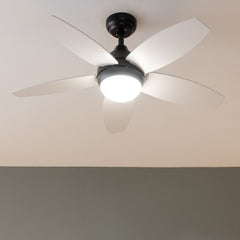 V6H25F469E055A0500601E6359ED0A6E5AER7402683P2