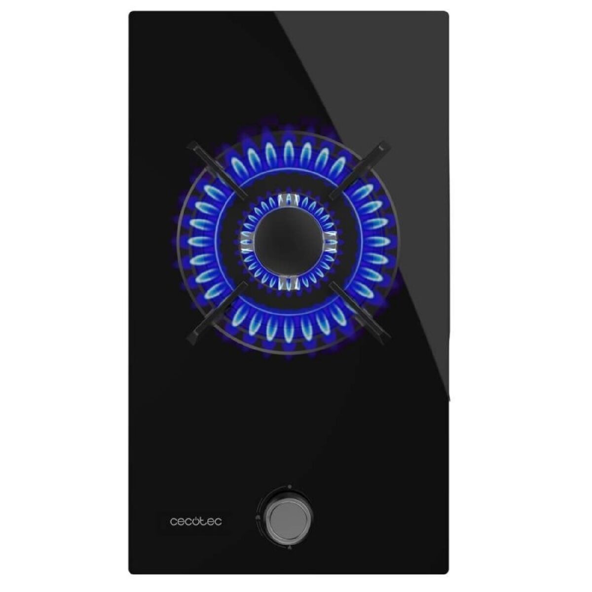 V2H08DE4C42575529CDA5CD9931A07AAE8FR7402003P2