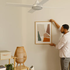 V4HB6A5E7B1C4BA34E6149AA3D4E3DE274AR7164050P7