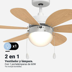 V2H06984F13501ABA1F0AA0138D65A060A9R6761179P3