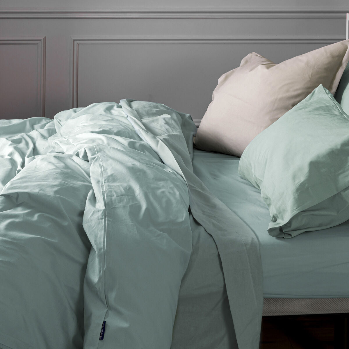 V5HBE1615DD5F19B2AB07E1D650A2568C87R4454182P2