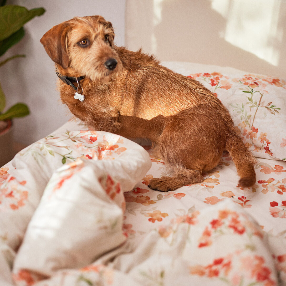 V7H4A62A937A9C1F6ADD55BDB8218C10EC8R5214804P4