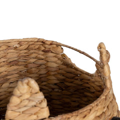 V8HEEDAE6A502C68F52806373A5649FC383R3702922P6