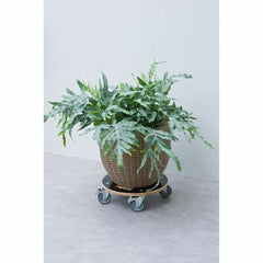 V5HBAFB39A69FBD93C0B691FDCC11D036AER6685373P2