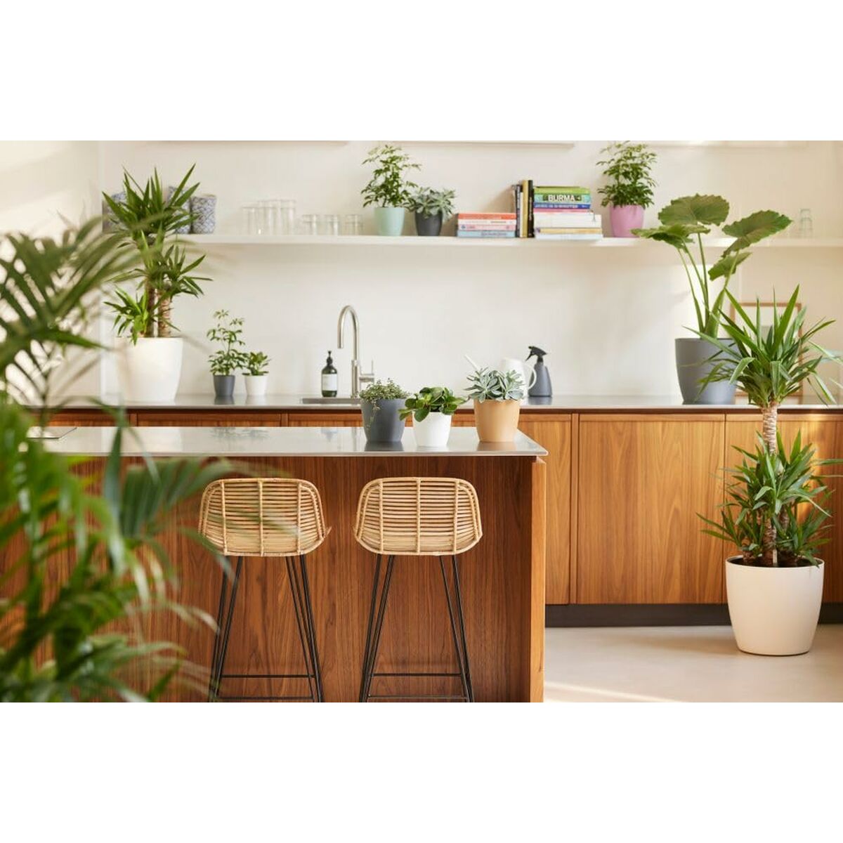 V2HE61ED0A65022458D6DAB737C7F3E5437R6746315P4