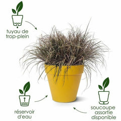 V3H890DAACAF6E138861C82DE9196CCB6EBR6746342P6