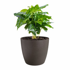 V4H9C8A8D964C77D0BA4B1F0F6C35FB4690R6746273P3