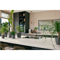 V4HCCA33E3EC9BAB3305DEC752CF60419E4R6746280P6