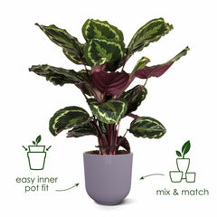 V4H996DFF635BF92EE21BE8920D8EB5A3FBR6737848P2