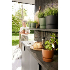 V3H9105E86C400C5064CF8BAE224EE8698BR6737396P7