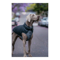 Dog Coat Red Dingo Puffer Black/Grey 60 cm