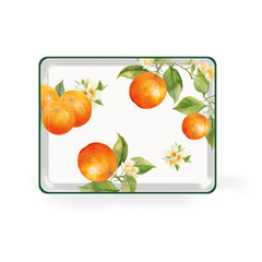 V6H2F13AD2782B8F55CE8FD32F029A5BE35R6844837P4