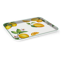 V6H9981CD792AB16E2AE5F5ED6BDB53CCF7R6844839P5