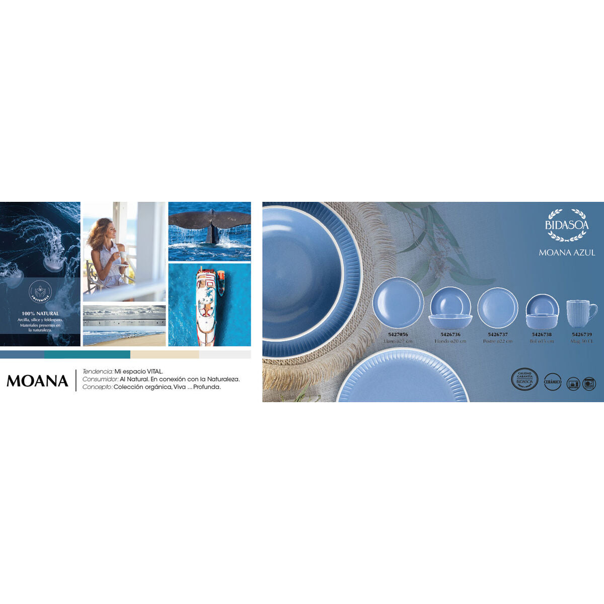 V4HC1E03126221CB5C87815DE907236C546R6280685P4